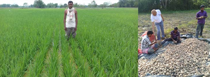 rkvy assam